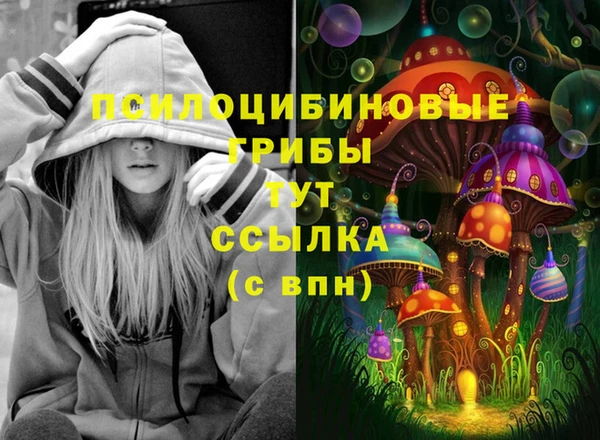 PSILOCYBIN Туринск