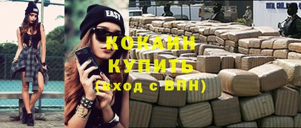 PSILOCYBIN Туринск