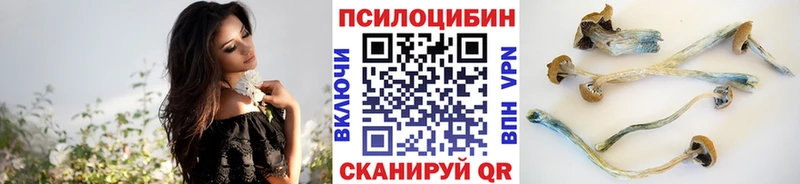 Купить  Остров  Галлюциногенные грибы мухоморы 